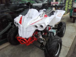 miniquad ATV Renegade Special DOC 125cc