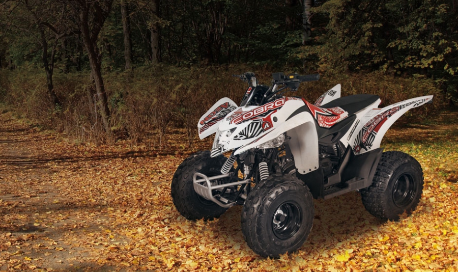Aeon VALVOLA LAMELLARE MANICOTTO IN GOMMA per AEON COBRA 50 ATV QUAD 50 2T 