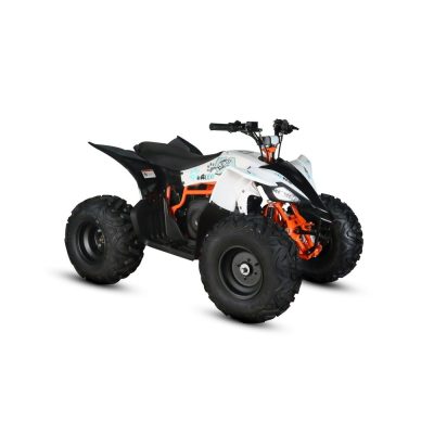 MINIQUAD ATV KAYO eA110 2100W 48V (elettrico)